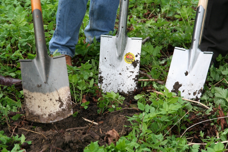 pepiniere-CHATEAUVIEUX-min_work-lawn-flower-tool-green-backyard-1103633-pxhere.com